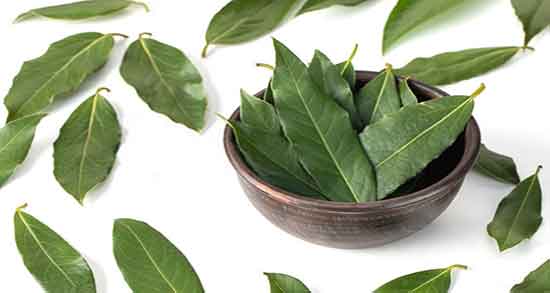 معجزه برگ بو خاصیت برگ بو برای ثروتمندی + تاثیر سوزاندن برگ بو در ثروت
