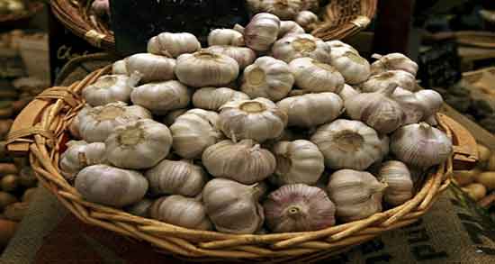معجون سیر و لیمو برای کبد ؛ تاثیر معجون سیر و لیمو برای چربی سوزی کبد
