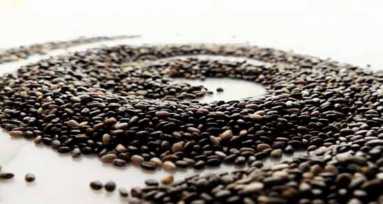 منع مصرف دانه چیا ؛ چه افرادی نمی توانند دانه چیا مصرف کنند؟