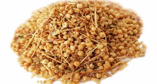 نام دیگر افتیمون چیست ؛ نام علمی افتیمون چیست؟