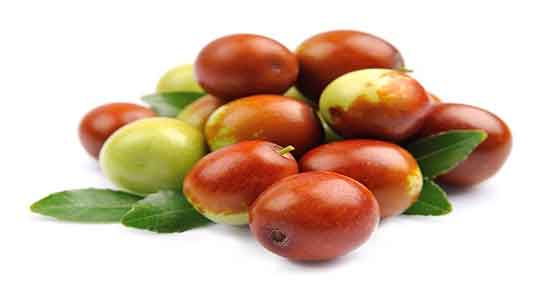 نحوه استفاده روغن جوجوبا برای مو ؛ دستور مصرف روغن جوجوبا چیست