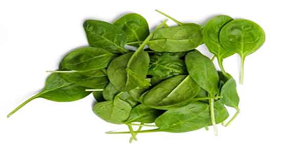 نگهداری اسفناج پخته ؛ چگونه اسفناج پخته را در فریزر نگهداری کنیم
