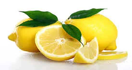 هسته لیمو ترش را چگونه بکاریم ؛ دستور کاشتن هسته لیمو ترش