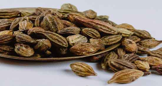 هل سیاه برای چی خوبه ؛ در چه مواردی مصرف هل سیاه مفید است؟