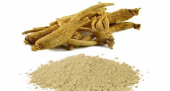 پودر جینسینگ چندروزه چاق میکنه ؛ تاثیر خوردن پودر جینسینگ برای چاق شدن