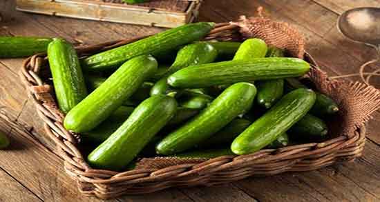 چرا ته خیار تلخ است ؛ چرا ته خیار را وقتی میخوریم تلخ است