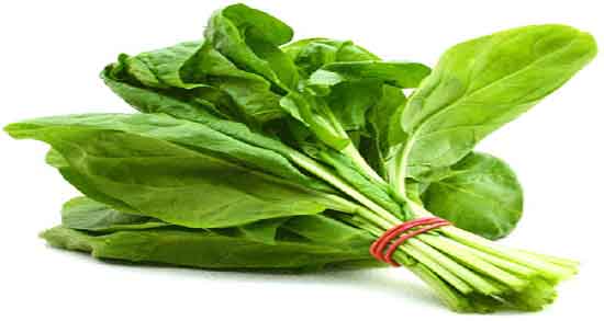 چگونه آب اسفناج بگیریم ؛ طریقه مصرف اب اسفناج برای بدن چیست