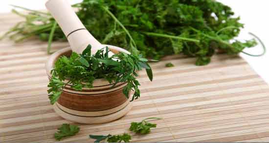 چگونه آب گشنیز را بگیریم ؛ روشی ساده برای گرفتن آب گشنیز