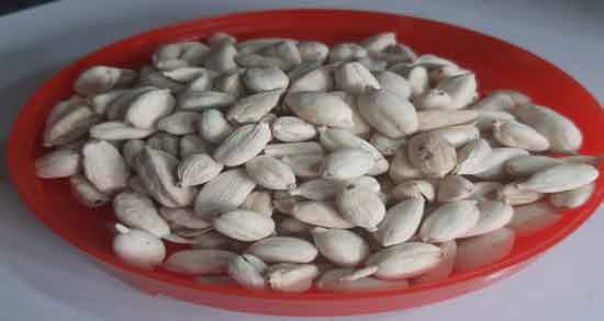 کاربرد هل سفید ؛ بررسی خاصیت دارویی و کاربردهای هل سفید