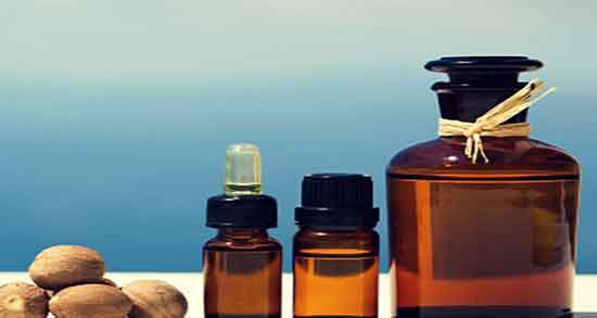 کالری ریشه جوز هندی ؛ مقدار کالری ریشه جوز هندی برای وعده غذا