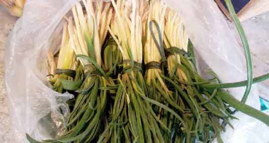 کالری سیر کوهی ؛ چه میزان کالری در سیر کوهی وجود دارد