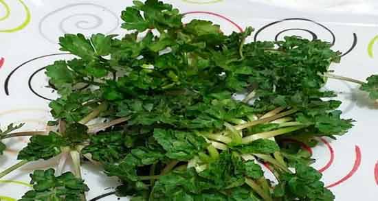 کالری چوچاق ؛ چه میزان کالری در چوچاق وجود دارد