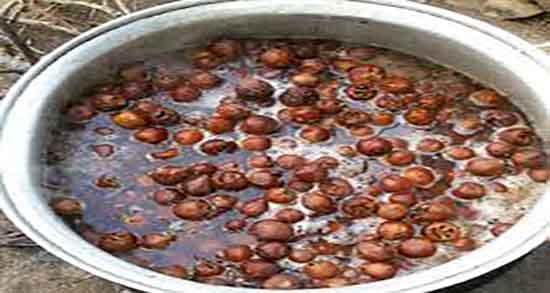 کندس و دیابت ؛ خاصیت استفاده از کندس برای قند خون زنان باردار