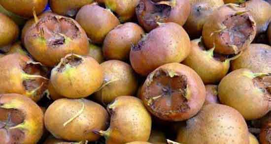 کندس و لاغری و ایا مصرف کندس برای چربی سوزی شکم و پهلو مفیده کندس و لاغری ؛ ایا مصرف کندس برای چربی سوزی شکم و پهلو مفیده