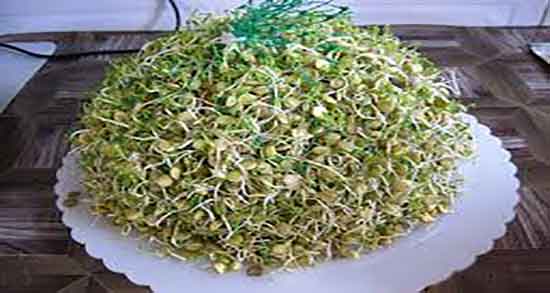 گاودانه برای بدنسازی ؛ تاثیر استفاده از گاودانه برای ورزشکاران چیست