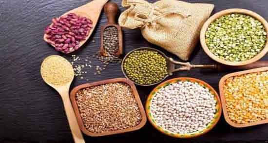 گاودانه برای مرغ ؛ ایا دادن گاودانه به مرغ باعث تخم گذاشتن بیشتر میشود