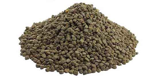 گاودانه برای چی خوبه ؛ ایا مصرف گاودانه برای درمان سرماخوردگی مفیده