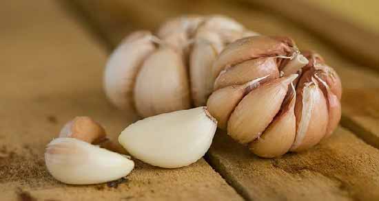 گذاشتن سیر روی ابسه دندان و درمان عفونت دندان با سیر گذاشتن سیر روی ابسه دندان ؛ درمان عفونت دندان با سیر