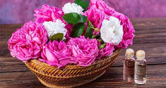 گلاب برای نوزاد یک ماهه ؛ خواص و مضرات دادن گلاب به نوزاد یک ماهه