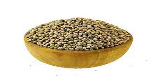 گیاه گاودانه ؛ ایا گیاه گاو دانه برای لاغری شکم و پهلو مفید است