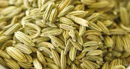 تعبیر خواب رازیانه سبز گرفتن و عرق و درخت و چیدن زیره و رازیانه چیست