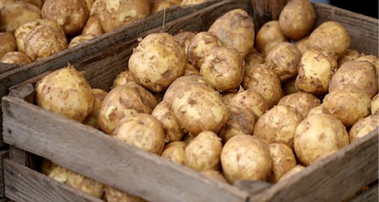 آب سیب زمینی و آرد برنج ؛ ماسک اب سیب زمینی و ارد برنج برای بدن