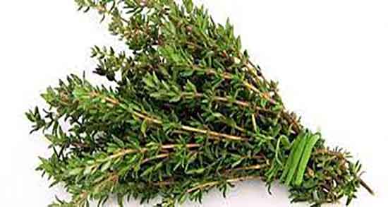 آذربه و فشار خون ؛ تاثیر خوردن اذربه برای کنترل فشار خون زنان حامله