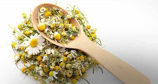 ارزش غذایی بابونه ؛ آشنایی با خواص و ارزش غذایی بابونه