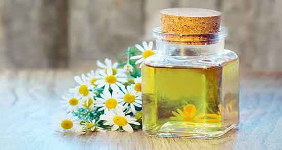 انواع بابونه و خواص آن ؛ فواید مصرف انواع بابونه برای لاغری شکم و پهلو