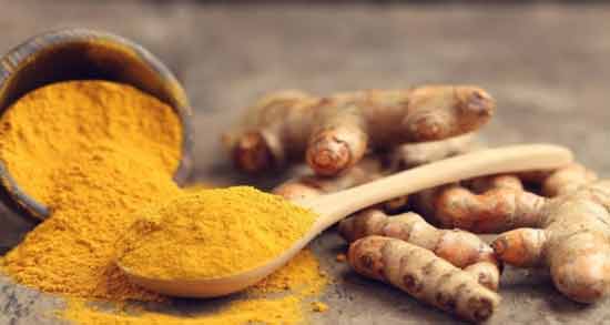 ایا زردچوبه برای گربه مضر است ؛ خواص و مضرات دادن زردچوبه به گربه
