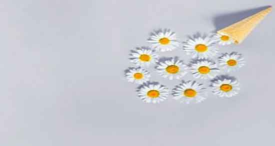 بابونه برای سرماخوردگی کودکان ؛ ایا بابونه برای سرماخوردگی کودکان مفیده