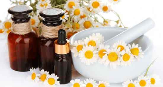 بابونه و قند خون ؛ تاثیر خوردن بابونه برای کنترل دیابت زنان باردار