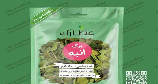 برگ انبه گرم است یا سرد ؛ ایا طبع برگ انبه از نظر طب سنتی گرم است