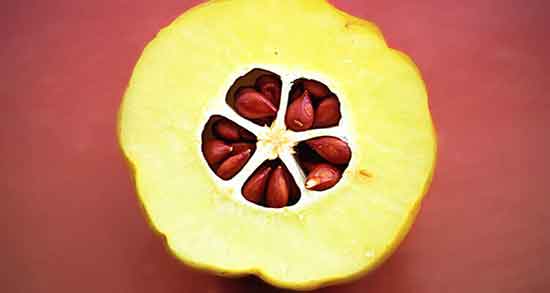 به دانه برای سرفه کرونا ؛ خاصیت مصرف به دانه برای درمان سرفه کرونا