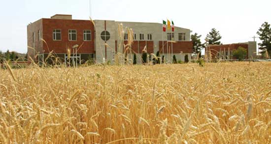 تعبیر خواب آبیاری زمین کشاورزی ، معنی دیدن آبیاری زمین کشاورزی در خواب تعبیر خواب آبیاری زمین کشاورزی ، معنی دیدن آبیاری زمین کشاورزی در خواب