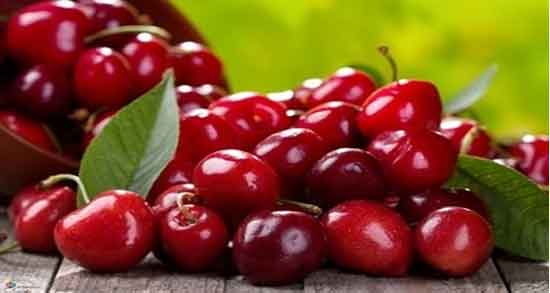 تعبیر خواب آلبالو ، ابن سیرین برای زن باردار حضرت یوسف و درخت آلبالو و مربا