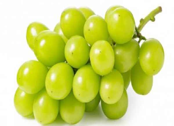 تعبیر خواب انگور سبز خیلی درشت + معنی انگور سبز خیلی درشت در خواب چیست