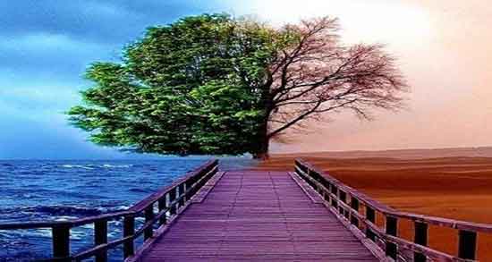 تعبیر خواب برزخ ، تعبیر خواب مردن و رفتن به برزخ بهشتی و عالم دیگر چیست