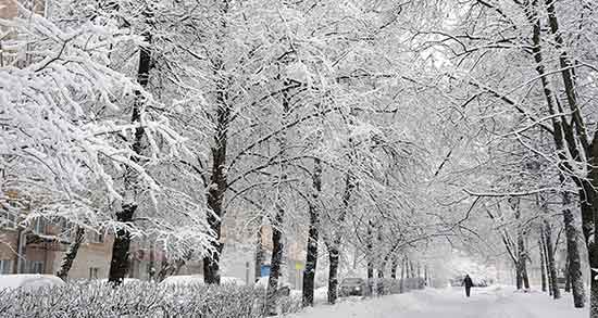 تعبیر خواب برف و بهمن ؛ معنی دیدن برف و بهمن در خواب های ما چیست