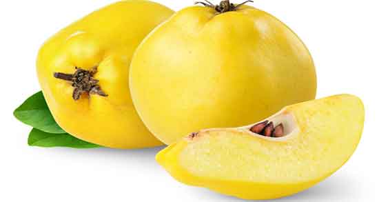 تعبیر خواب به ، برای زن باردار و درخت ابن سیرین و کاشتن درخت میوه به نشانه چیست