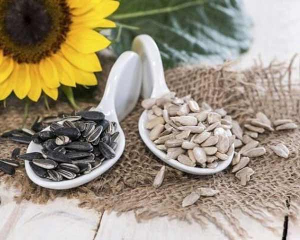 تعبیر خواب تخمه آفتابگردان برای زن متاهل + معنی تخمه آفتابگردان از نظر امام صادق چیست