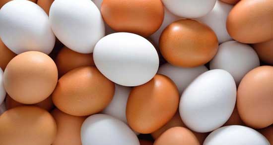 تعبیر خواب تخمه مرغ ، معنی دیدن تخمه مرغ در خواب های ما چیست