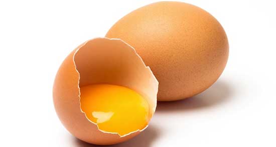 تعبیر خواب تخمه مرغ حضرت یوسف ، امام صادق و منوچهر مطیعی و ابن سیرین
