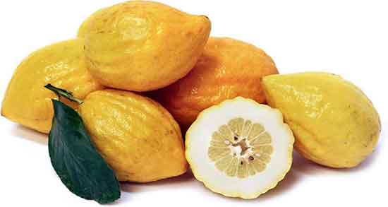 تعبیر خواب ترنج ، در خواب خوردن و میوه و چیدن ترنج از درخت در خواب