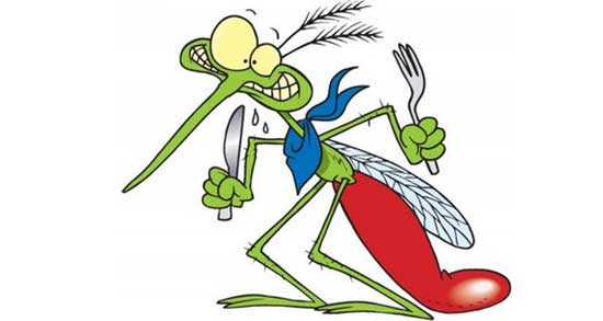 تعبیر خواب حشره سیاه و ریز در خانه و روی بدن و حشرات سبز رنگ امام صادق تعبیر خواب حشره سیاه ، معنی دیدن حشره سیاه در خواب های ما چیست