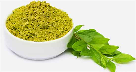 تعبیر خواب حنا ابن سیرین ؛ امام صادق و حضرت یوسف و منوچهر مطیعی