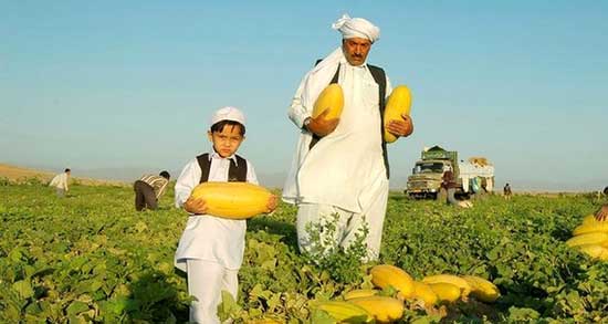 تعبیر خواب خربزه برای زن باردار ، معنی دیدن خربزه برای زن باردار در خواب