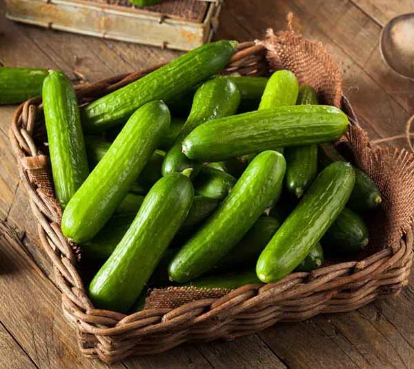 تعبیر خواب خریدن خیار سبز + معنی خریدن خیار سبز در خواب چیست