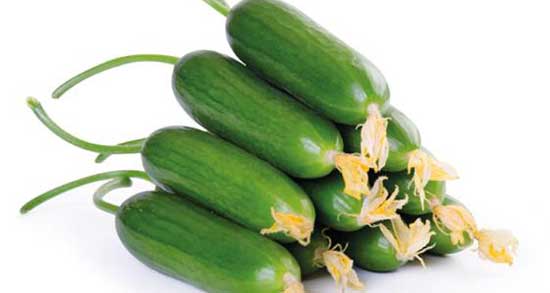 تعبیر خواب خیار برای دختر مجرد ، معنی دیدن خیار برای دختر مجرد در خواب