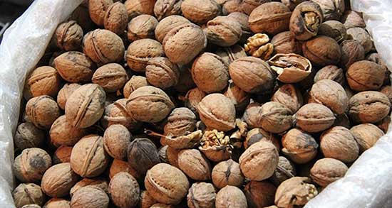تعبیر خواب دادن گردو به کسی ، معنی دادن گردو به کسی در خواب ما چیست